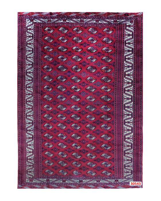 Apadana Hand Made Rug Turkaman 30543  (350cm x 235cm)